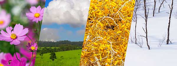 кемпинг круглый год