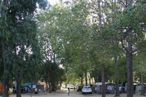 Camping San Teodoro La Cinta