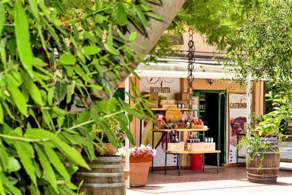 Aire De Jeux Pour Enfants