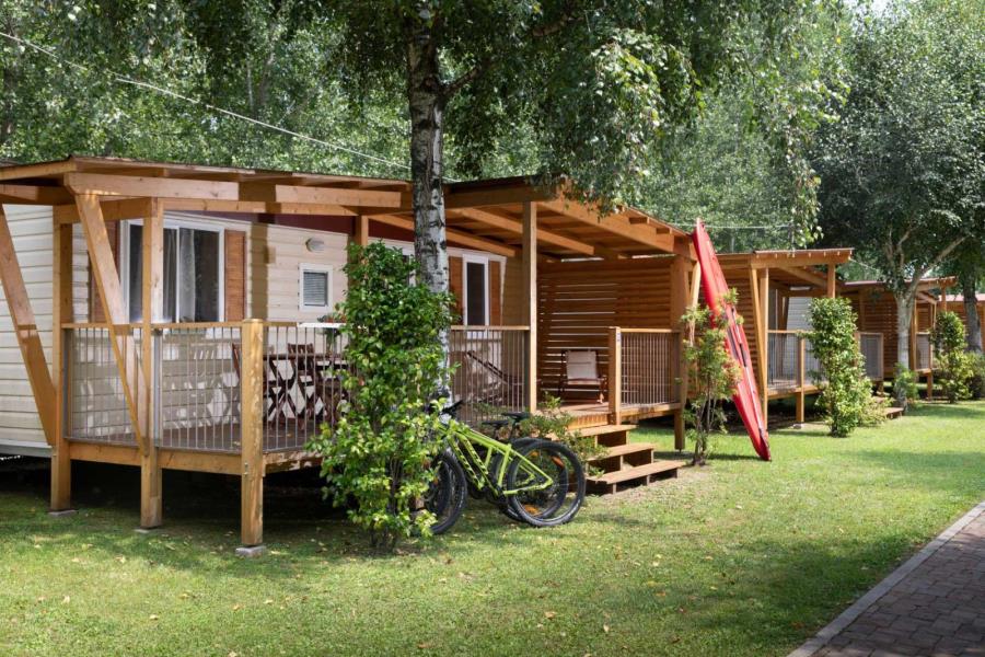 sfondo link video Conda d'oro - Short