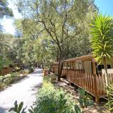 Camping Belmare