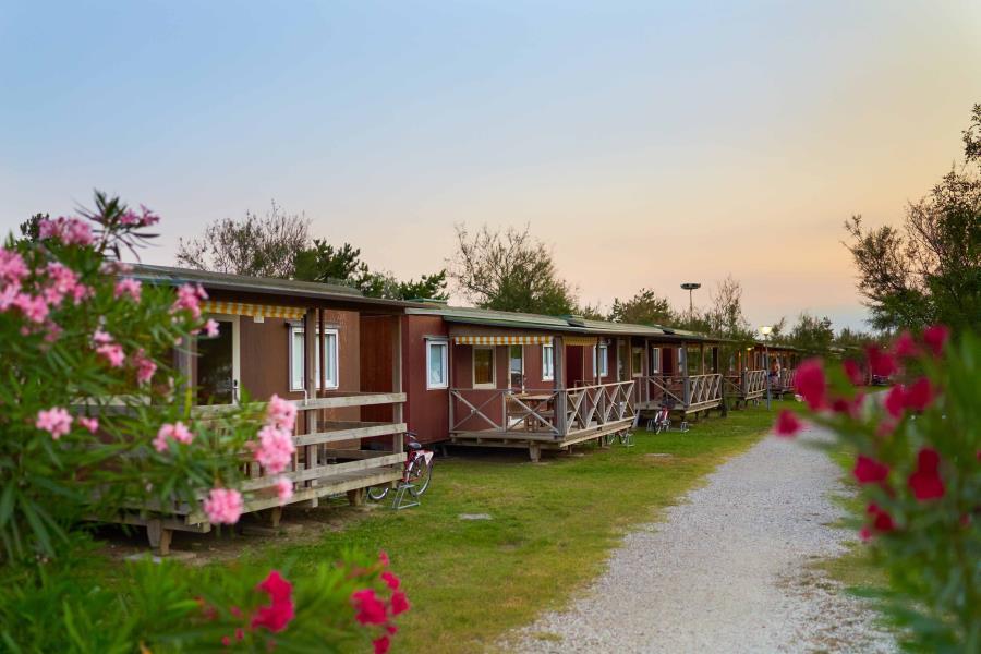 sfondo link video Camping Lido Bibione Pineda